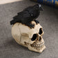 Statues For Decoration Skull Crow Skull Fashion Home Decor