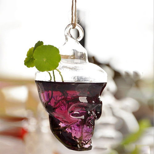 New Promption Creative Clear Glass Skull Shape Flower Plant Hanging Vase Home Office Decor