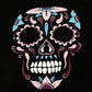 Plus Size Womens Tops and Blouses Skull Print Baseball Tee Shirt O Neck Three Quarter Sleeve Tunic Top Clothing Blusa Feminina