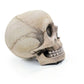 Inflatable Skull Chair, Movable Jaw Knitted Fabric Halloween Design