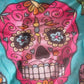 NEW Sugar Skull Womens Fashion Scarf Teal Multicolored Lgt Wgt Fabric 11" x 60"