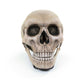 Inflatable Skull Chair, Movable Jaw Knitted Fabric Design