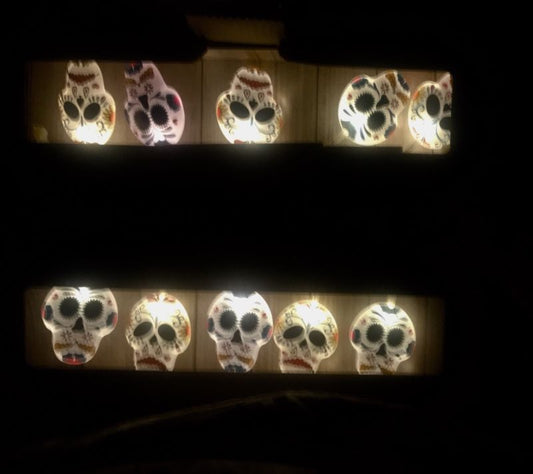 New In Retail Box Sugar Skulls String of 10 LED Lights Rare! Battery 10'