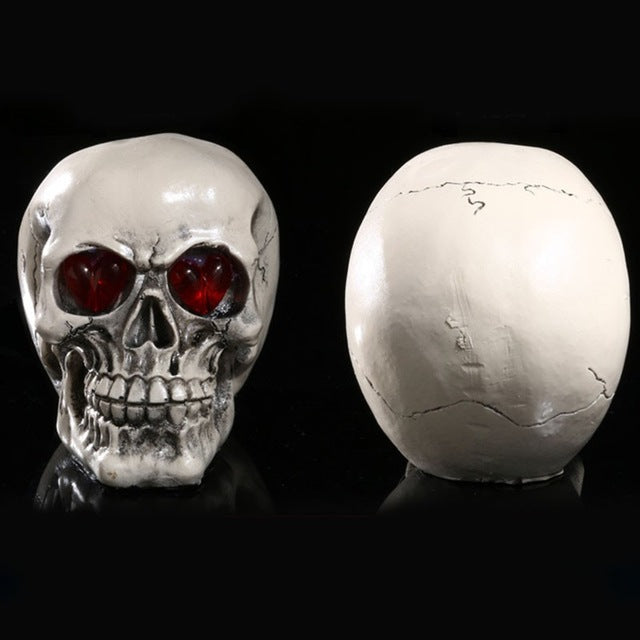 LED Human Shape Skeleton Head Homosapiens Skull Statue Figurine