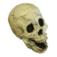 Myard Fireproof Human Fire Pit Skull Gas Log for NG, LP Wood Fireplace, Firepit, Campfire, Halloween Decor, Barbecue