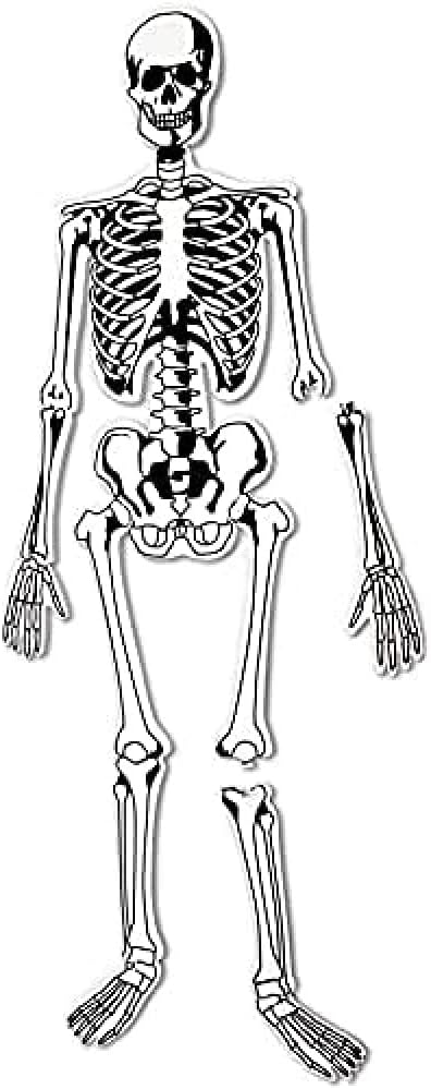 Learning Resources Skeleton Floor Puzzle - skeleton