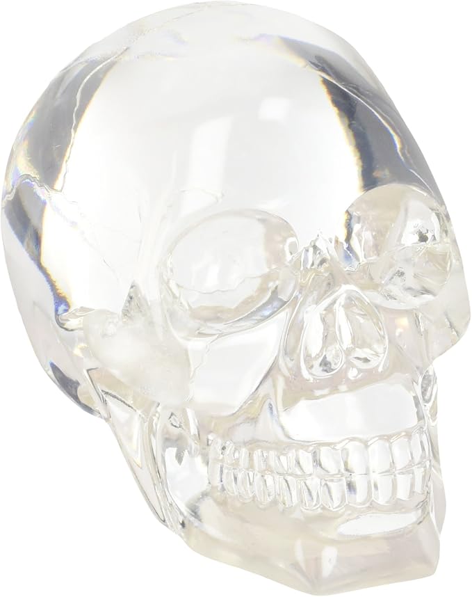 Clear Translucent Skull Collectible Figurine - skull figurine