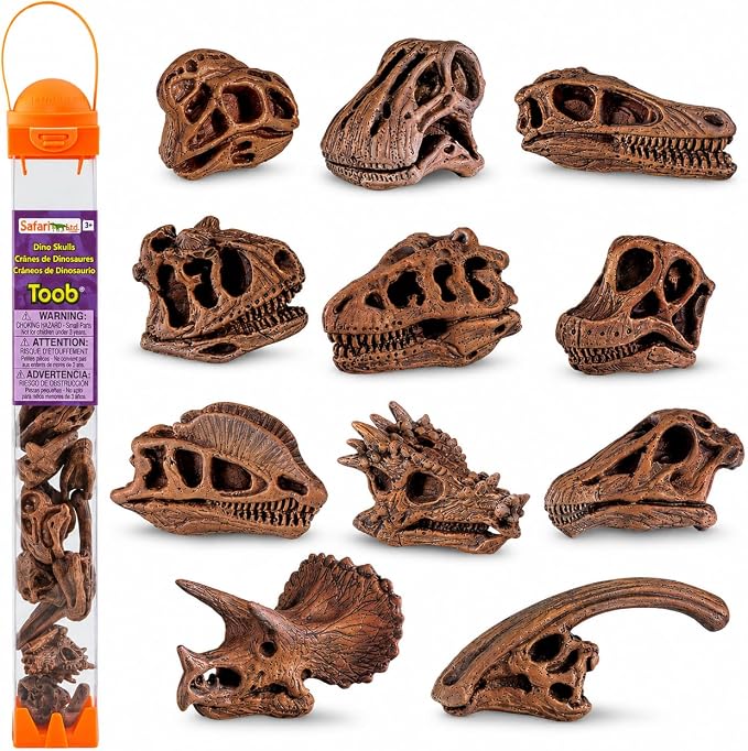 Safari Ltd Dinosaur Skulls TOOB - 11 Mini Figurines Including Velociraptor, Brachiosaurus, Oviraptor, Triceratops, Tyrannosaurus Rex and More - Educational Toy Figures for Boys, Girls & Kids Ages 3+ - skull figurine