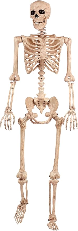 Crazy Bonez Original Pose-N-Stay Halloween Skeleton, 5 FT – Life-Size - skeleton