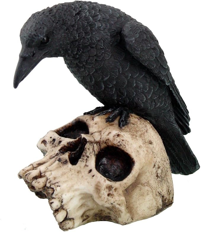 Pacific Giftware 5 Inch Halloween Black Raven on Skeleton Skull Statue Figurine