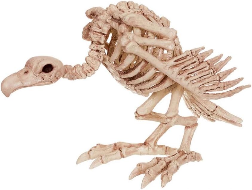 Crazy Bonez Skeleton Vulture – 10" Halloween Skeleton Bird - skeleton