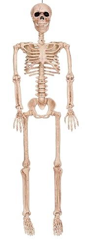 Crazy Bonez 3 FT Skeleton with Realistic Movable and Posable Joints - skeleton