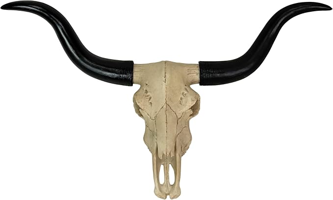 Zeckos Longhorn Skull Wall Sculpture, 20 Inch Black Horns, Faux Bone - skull wall art