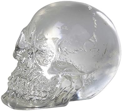 Pacific Giftware 12 Clear Crystal Like Mini Skulls Figurines Busts.Cute! 1 Dozen! Halloween Decor Collectible Figurine. - skull figurine