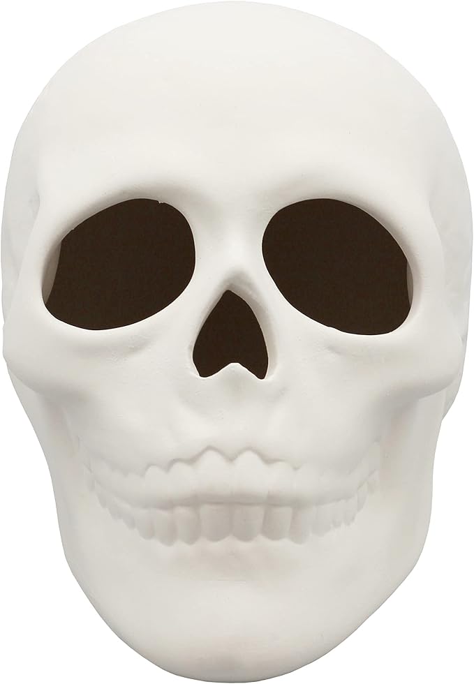 Creative Hobbies Ready to Paint Ceramic Bisque Skull, 5 in L x 4 in H, Halloween Craft Activity, Includes How to Paint Your Own Pottery Booklet - skull painting