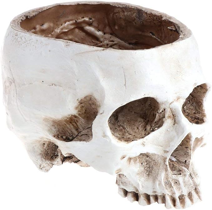 Skull planter , Resin Skull Head Flower Succulent Cactus Planter Pots , Small Object Containers Keys Sugar Candy Bowl, for Home Office Desk Decorations,Halloween Scene Statue Sculpture (White) - skull figurine