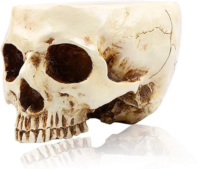 RMM Halloween Decoration Retro Human Skull Head Flower Pot Planter Bed Box Container Replica Home Bar Décor,Clear - skull figurine