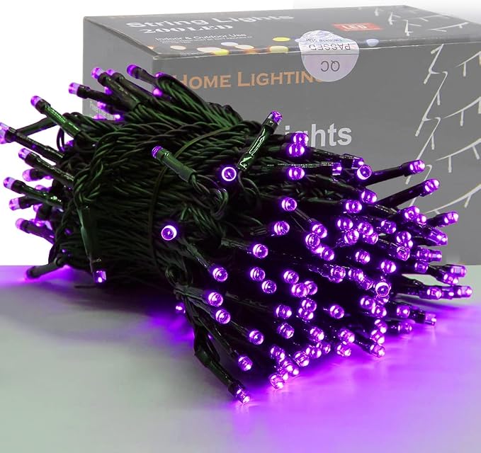 HOME LIGHTING 66ft Halloween Decorative Mini Lights, 200 LED Green Wire Fairy Starry String Lights Plug in, 8 Lighting Modes, for Indoor Outdoor Xmas Tree Wedding Party Decoration (Purple) - string light