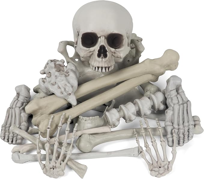 MOKRY PARTY Bag of Bones Halloween Life Size Skeleton Skull for Decoration and Spooky Graveyard 28 PCS - skeleton