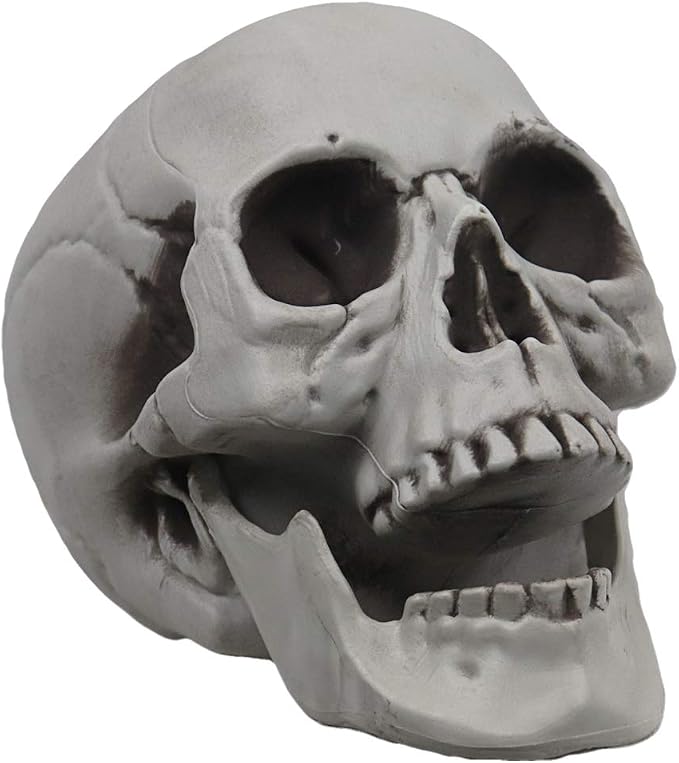 MOKRY PARTY Life Size Skeleton Skull for Halloween Decor Graveyard Outdoor White - skull inflatable