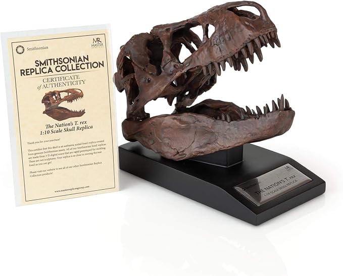 The Nation's T-Rex Skull Statue | Smithsonian Fossil Replica | 6-Inch Tall Tyrannosaurus Rex Desk Statue | 1:10 Scale - skull figurine
