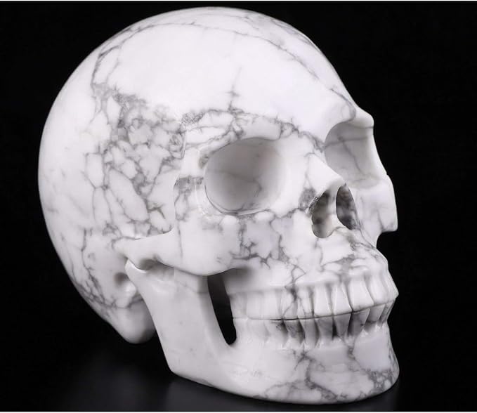 Skullis 5.0" Howlite Crystal Skull, Hand Carved Gemstone Fine Art Sculpture, Reiki Healing Stone Statue.963. - skull figurine