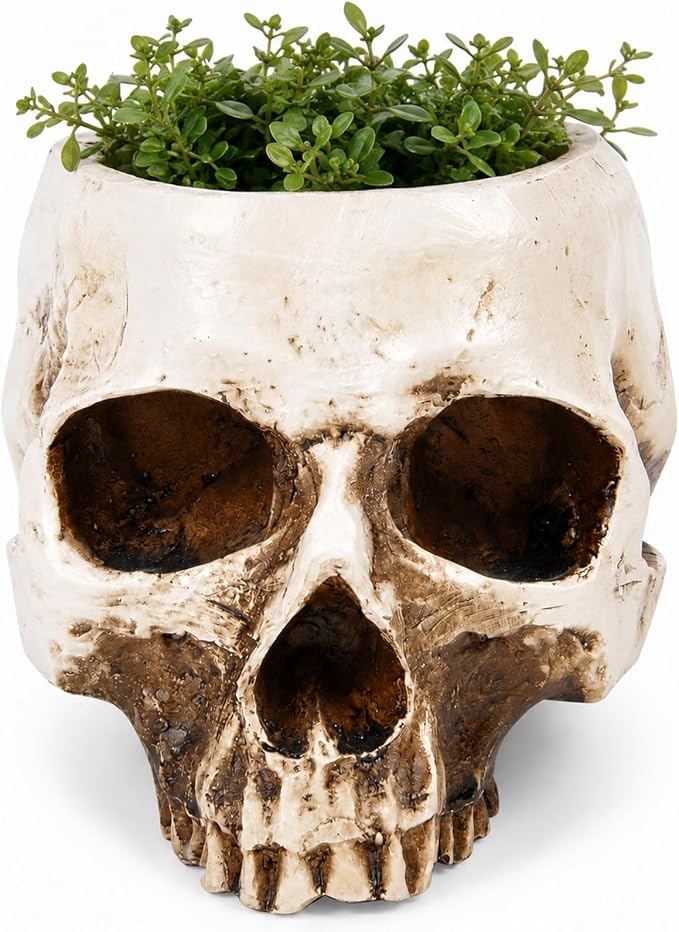ChezMax Skull Planter Suger Holder Resin Flower Succulents Pot Skeleton Flowerpot Candy Bowl Halloween Dish Statue Sculpture Skeleton Indoor Outdoor Decoration - skull candle
