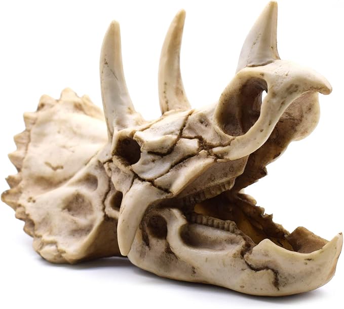 Resin Dinosaur Skeleton Triceratops Imitation Skull Model Home Office Display Decorative Decoration 7x4.7x4 Inch - skull figurine
