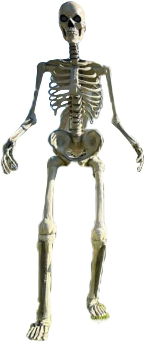 Home Accents 12 ft. Giant-Sized Skeleton with LifeEyes - skeleton