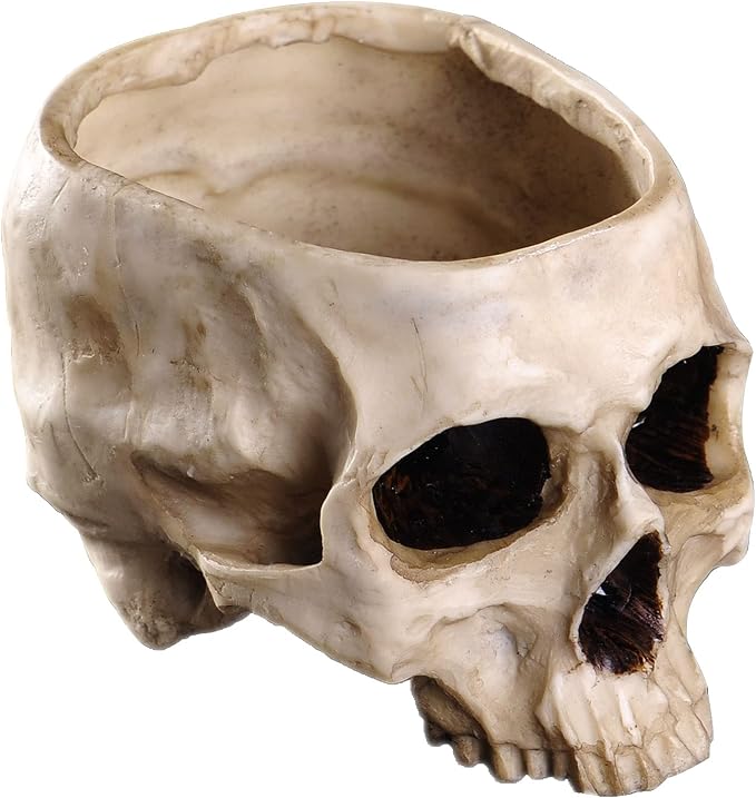 IBWell Modern 6 inch Large Funny Resin Skull Shaped Head Design Flower Pot Planter Container, Decoration Flowerpot Props Home Office Desk Decor (Classic) - skull candle