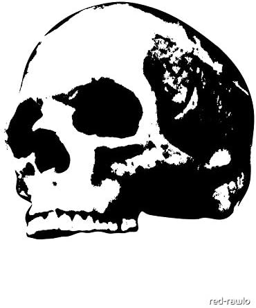 Human Skull - Sticker - DIe Cut Vinyl - Bright Print Sticker - skull sticker