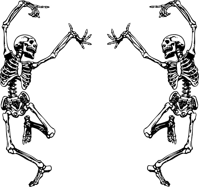 Skeleton Skull Stickers Trippy Grateful Steal Your face Rock Band Dancing for Car Halloween Car Decals Laptop Windows Truck and More Vinyl Pack of 2 Large Dancing Skeletons (6 inches) Combo - skull sticker