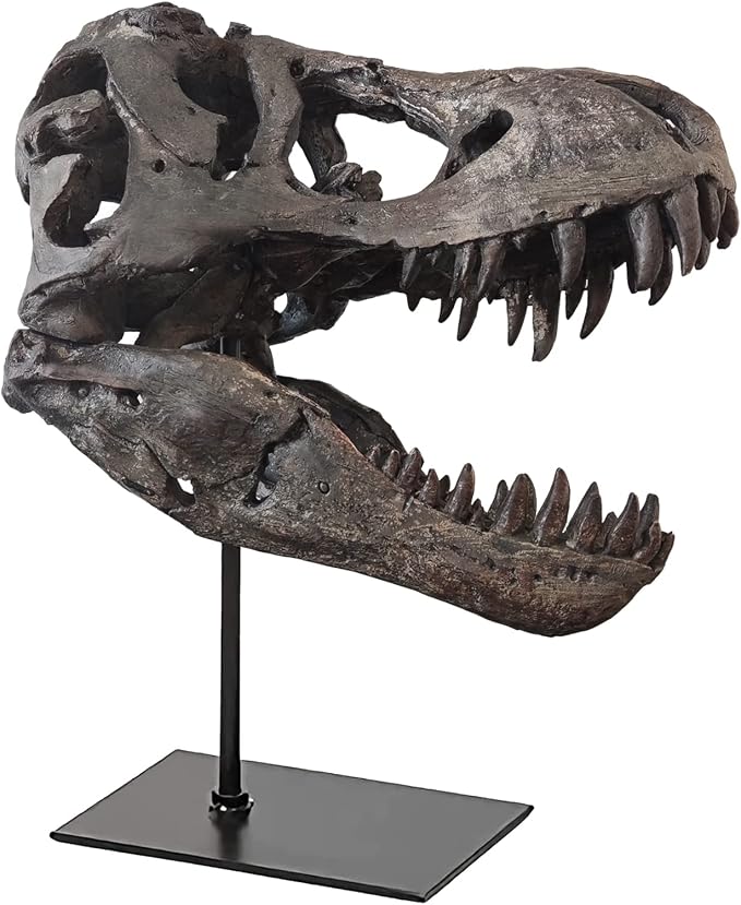 T Rex Skull, Dinosaur Statue Resin Dinosaur Skull Fossil Replica Skeleton Sculptures,Decorative Ornaments for Office Desktop Cabinets Home Kids Adults - skull figurine