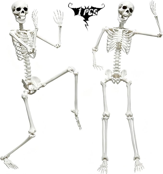 5.9FT Skeleton Halloween Full Size, Life Size Skeleton with Posable Joints - skeleton