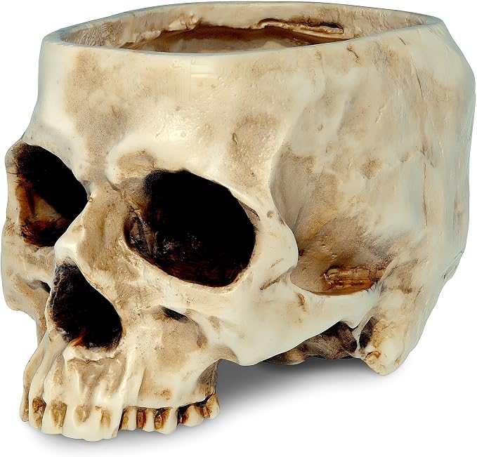 READAEER Skull Planter with Drain Hole, Resin Skull Shaped Flower Pot Candy Bowl, Gothic Decoration for Home Office Desk- White - skull figurine