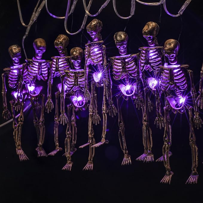Hiboom Halloween Skeleton Skull Lighted Holiday Display, 1 Pack, Purple