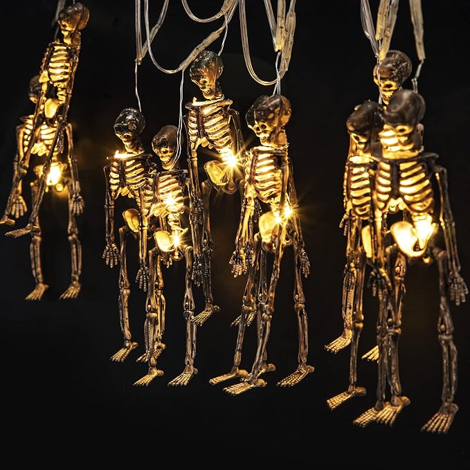 Hiboom Halloween Skeleton Skull Lighted Holiday Display, 1 Pack, Warm White - string light