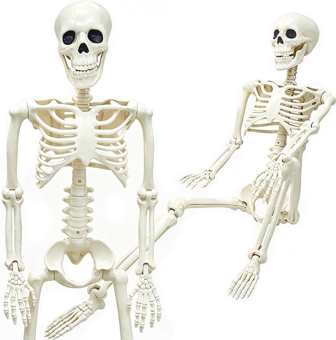 36″ Skeleton Halloween Decorations, 3FT Life Size Skeleton Posable Joints