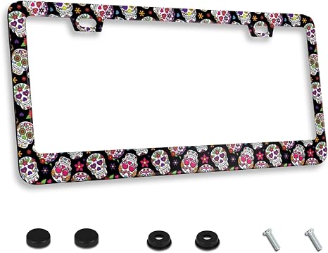 Sugar Skull Gothic License Plate Frame Stainless Steel 2-Holes with Screws - skull plate