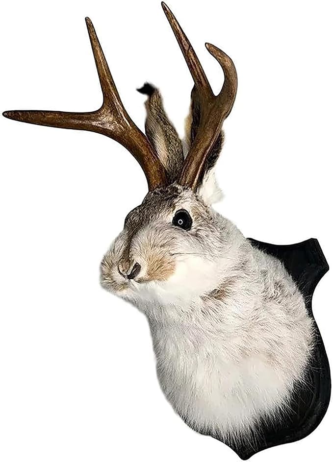 HSOSK Jackalope Mount, Jackalope Taxidermy, Deer Head Wall Mount, Resin Deer Head Animal Wall Art, for Home Wall Decoration - skull wall art