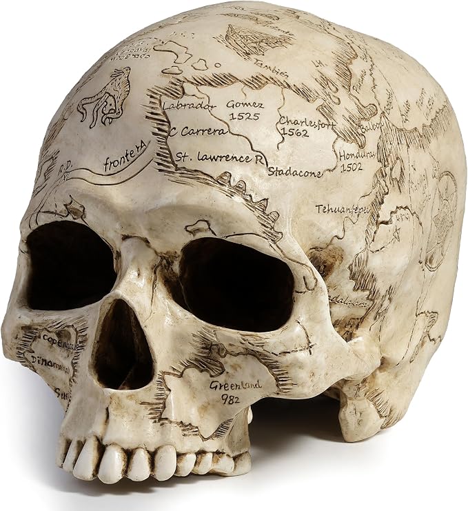 Veronese Design 5 3/8" Craniumography Skull Map Polyresin Hand Painted Sculpture - skull figurine
