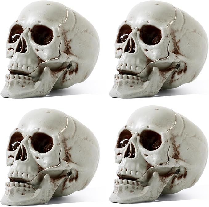 Sratte 4 Pcs Halloween Plastic Skull Human Skeleton Model,5.1 Inch - skull figurine