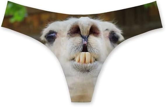 Funny Underwear Women Sexy Breathable High Cut Panties Low Rise Cheeky Hipster S-3XL - skull swimsuit