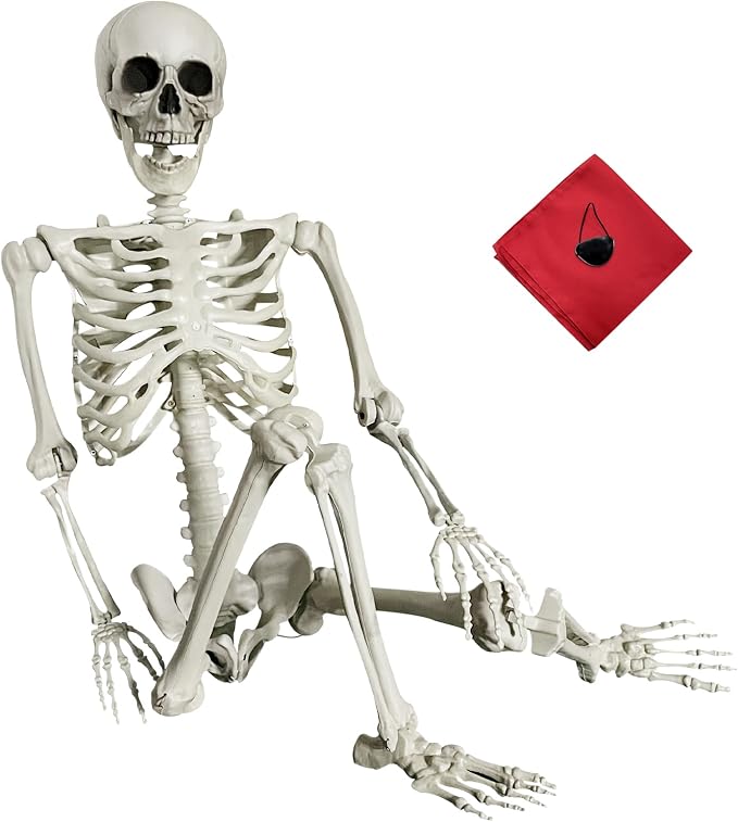 5.4Ft Halloween Skeleton Life Size Skeleton with Posable Joints - skeleton