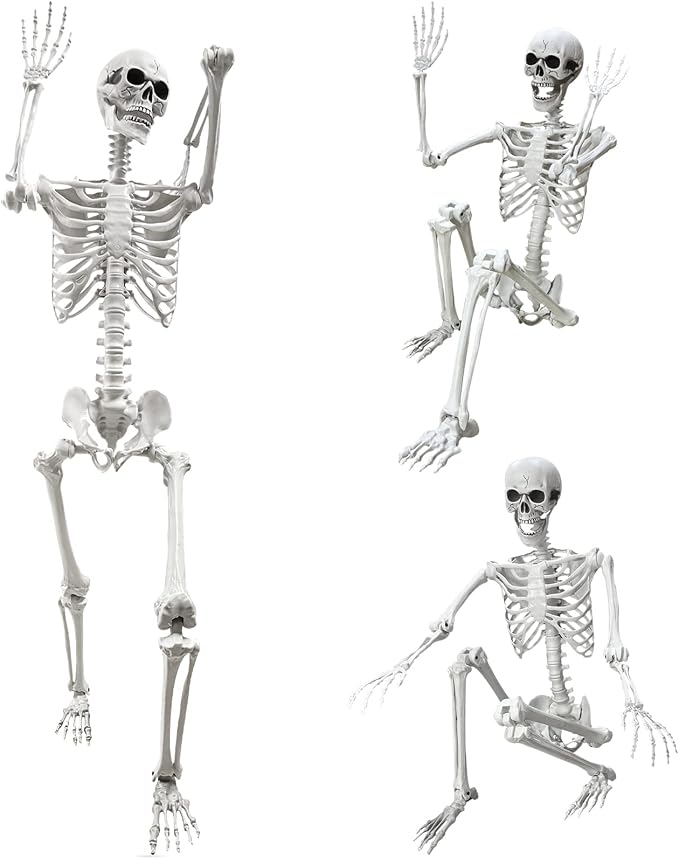 Wocst 5.4Ft Halloween Life Size Human Skeleton with Movable Joints for Halloween Props Decorations - skeleton