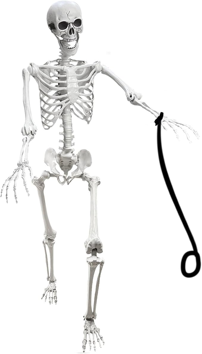 Lodou 5.4Ft Posable Life Size Human Skeleton for Halloween Decoration - skeleton