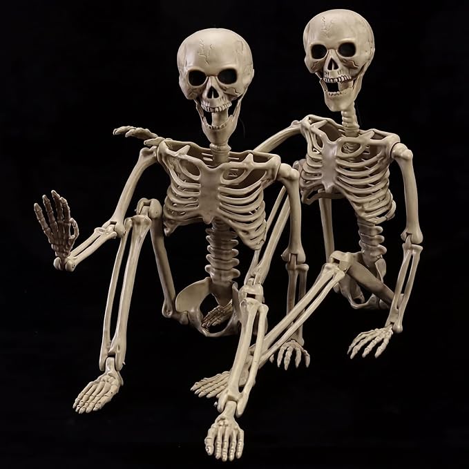 2-Pack 40″ Pose-N-Stay Halloween Skeletons, Life-Size Full Body Realistic Posable Skeleton with Movable Joints, Spooky Haunted House Decor for Outdoor Yard, Patio & Front Porch