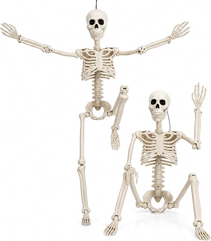 HBSTK 2Pack 36 Inches Pose-N-Stay Halloween Skeleton Life Size Full Body Posable Movable Jonints for Halloween Decoration Decor - skeleton