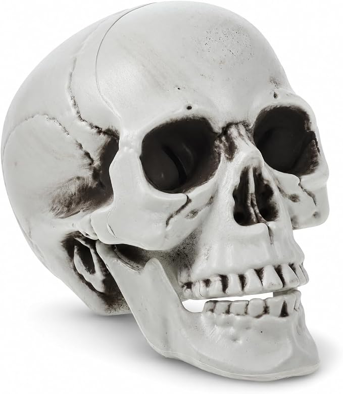 MAGICLULU Realistic Skeleton Skull, Life Size Head for Halloween Decor - skull figurine