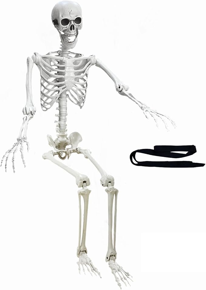 Wocst 5.4Ft Halloween Life Size Human Skeletons Poseable Life Size Skeletons with Rope Plastic Human Bones with Movable Joints for Halloween Decoration - skeleton